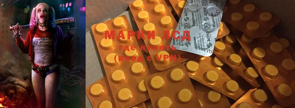 ГАЛЛЮЦИНОГЕННЫЕ ГРИБЫ Михайловск