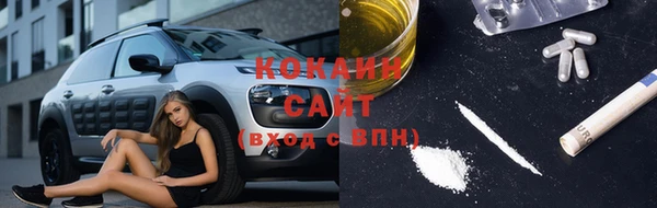 сатива Михайловка