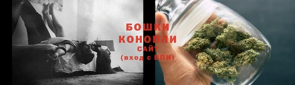 прущие грибы Навашино