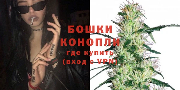 сатива Михайловка