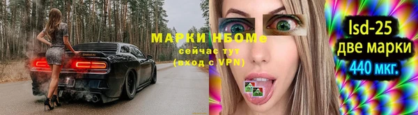 ГАЛЛЮЦИНОГЕННЫЕ ГРИБЫ Михайловск